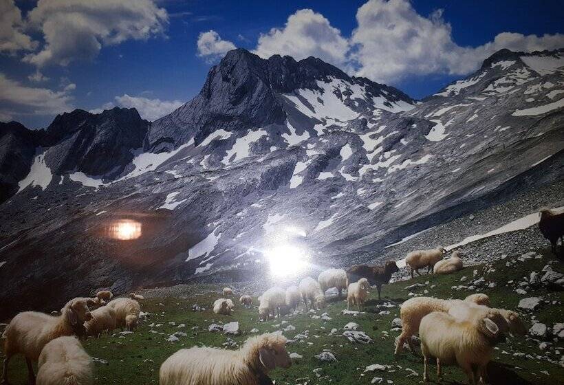 پانسیون Gasthof Zum Rassen