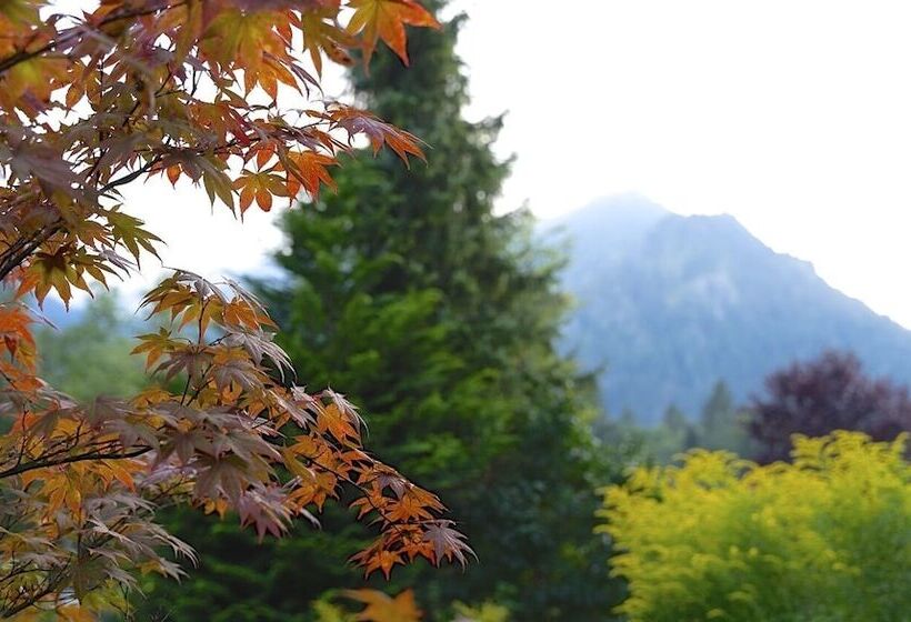 פנסיון Hubertus Schliersee