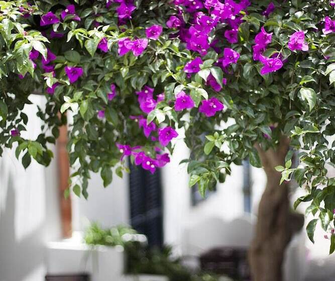 Курорт Quartara Boutique