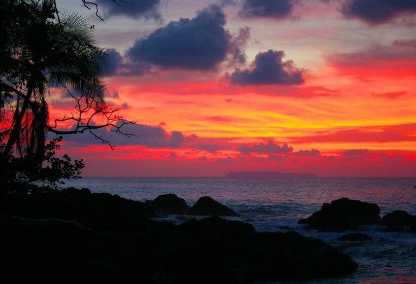 Copa De Arbol Beach & Rainforest Resort