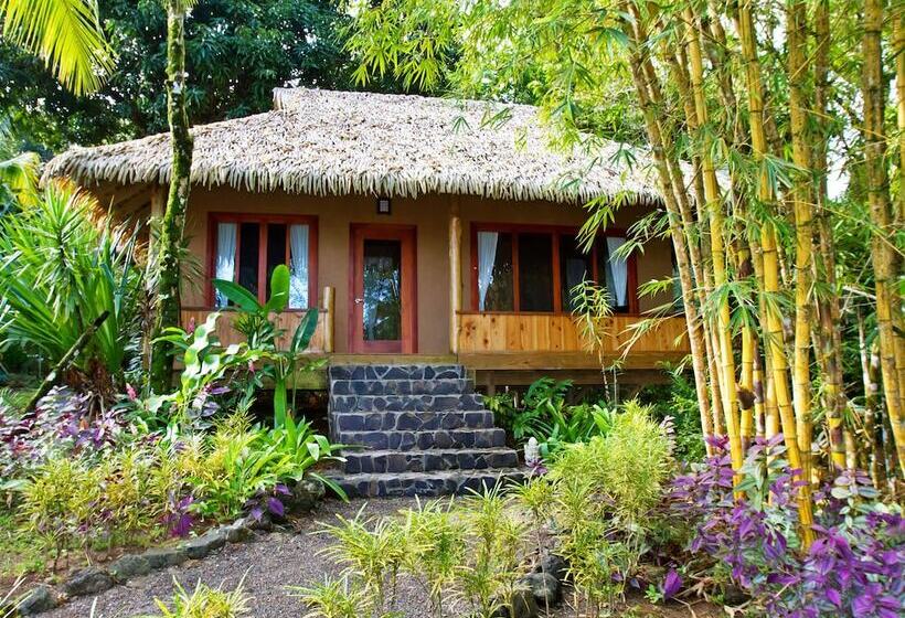 Copa De Arbol Beach & Rainforest Resort