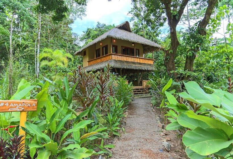 Copa De Arbol Beach & Rainforest Resort