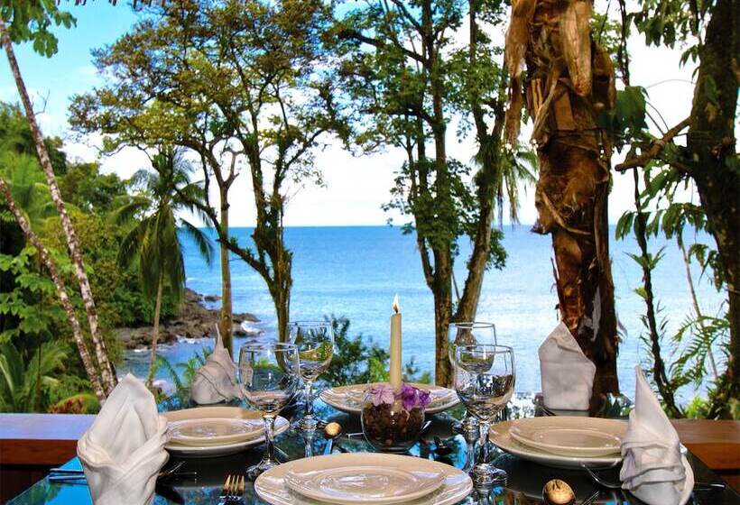 Copa De Arbol Beach & Rainforest Resort