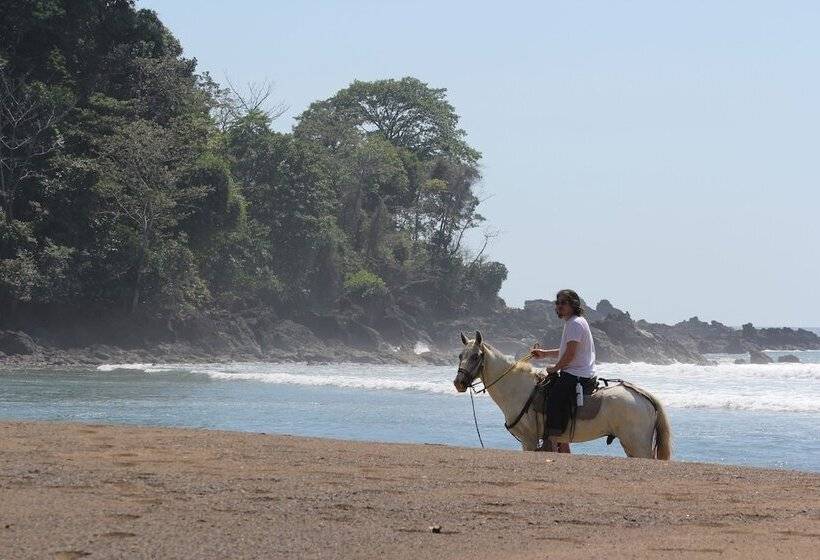 Copa De Arbol Beach & Rainforest Resort
