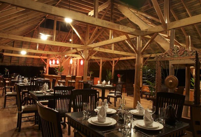 Copa De Arbol Beach & Rainforest Resort