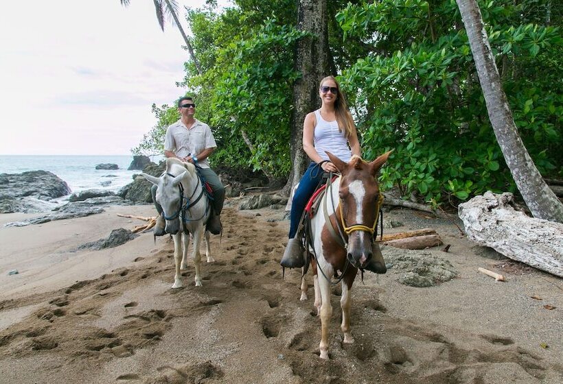 Copa De Arbol Beach & Rainforest Resort