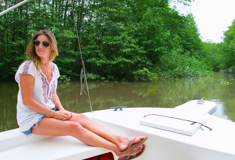 Copa De Arbol Beach & Rainforest Resort