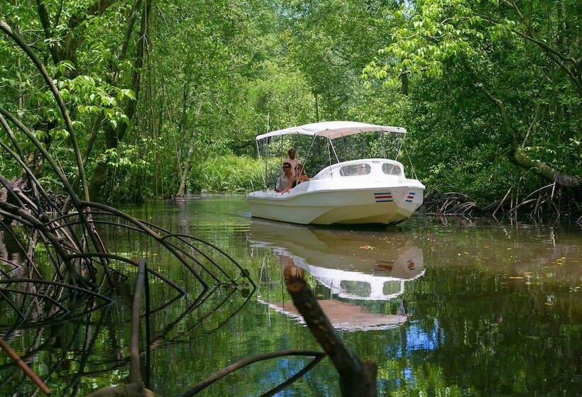 Copa De Arbol Beach & Rainforest Resort