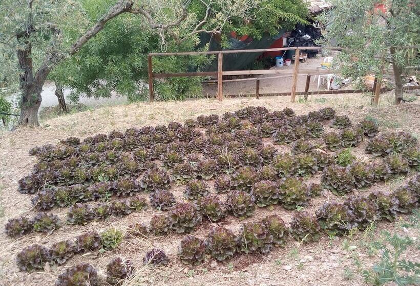 ホテル Agriturismo Al Poggetto