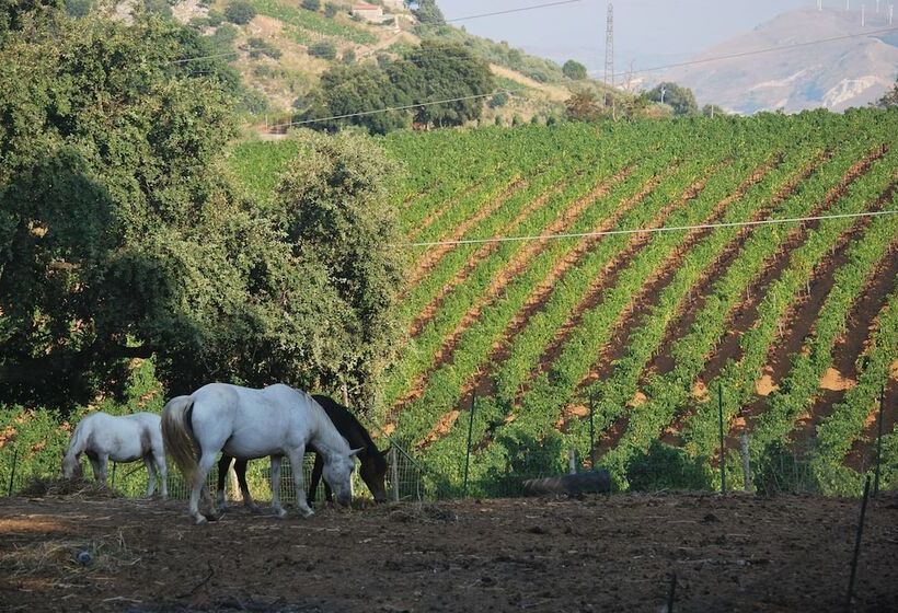 ホテル Agriturismo Al Poggetto