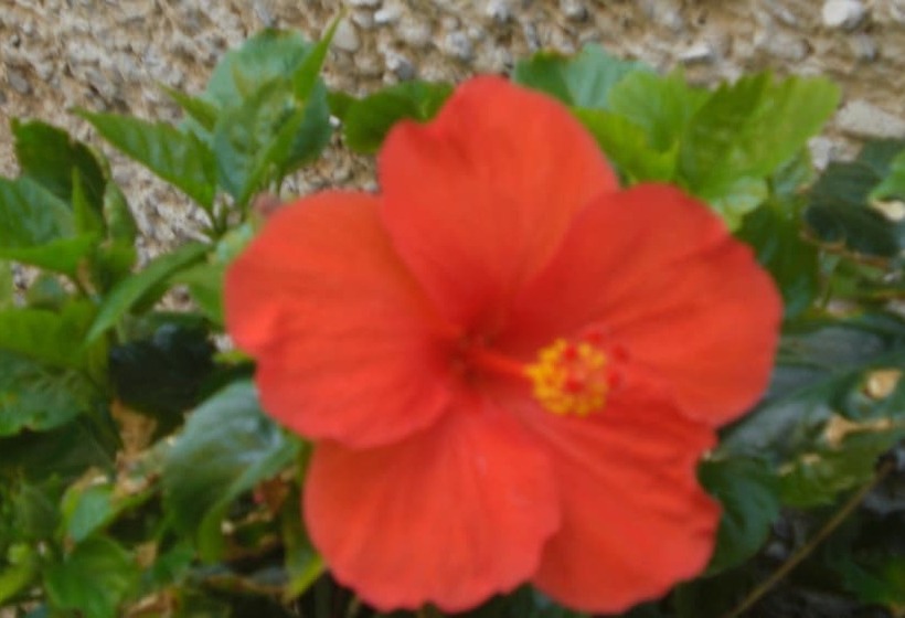 فندق Panorama   Agriturismo Il Girasole