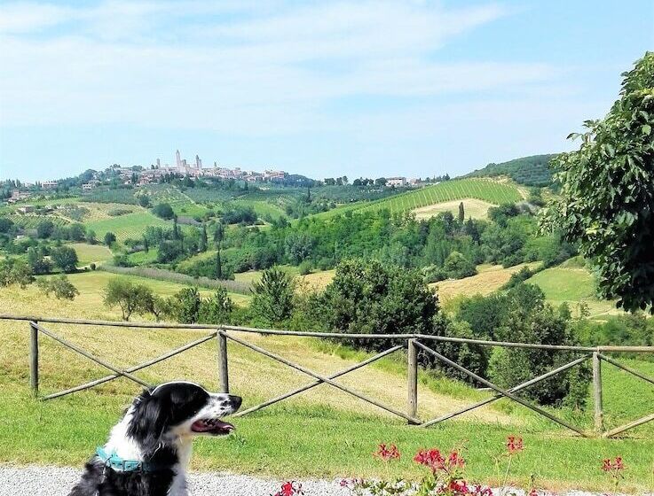 בית מלון כפרי Agriturismo Poggiacolle