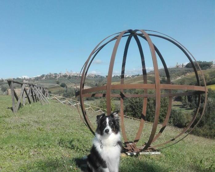 בית מלון כפרי Agriturismo Poggiacolle