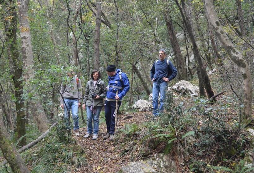 Отель Albergo L Antico Convitto