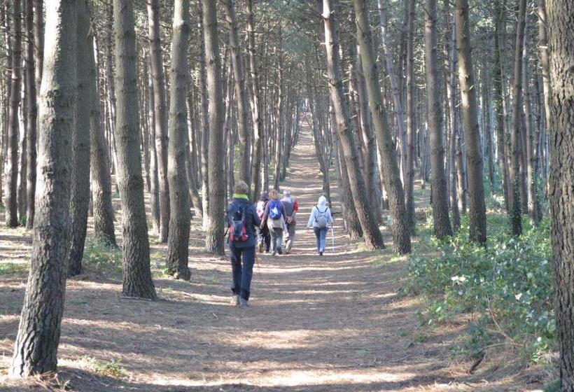 Отель Albergo L Antico Convitto
