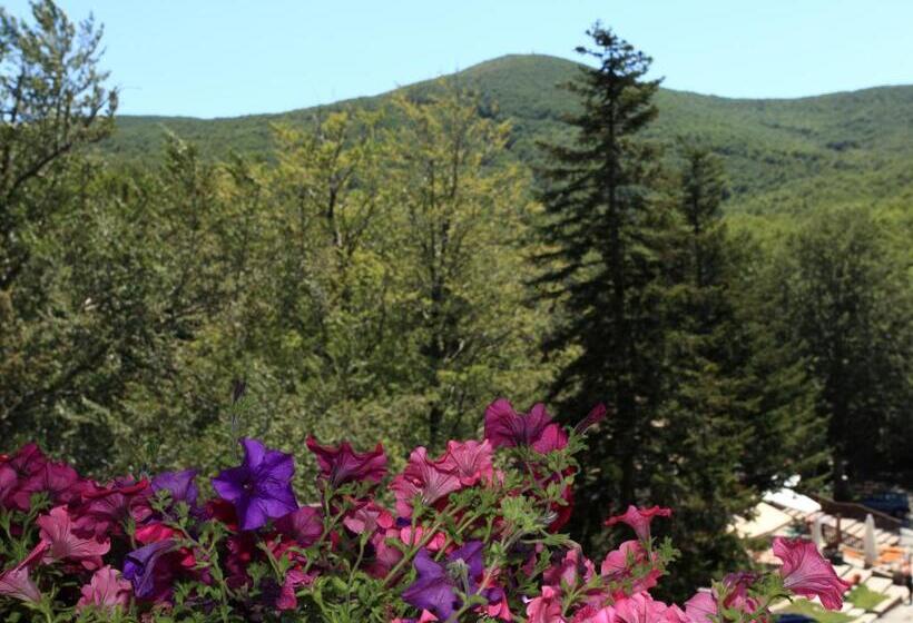 Отель Albergo Le Macinaie Monte Amiata