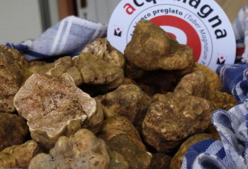 호텔 Albergo Shine