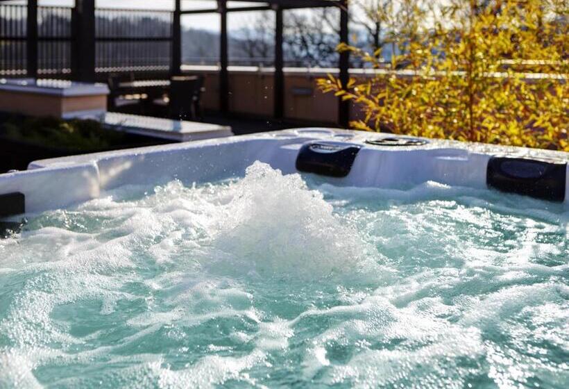 هتل Aleksander Medical & Spa