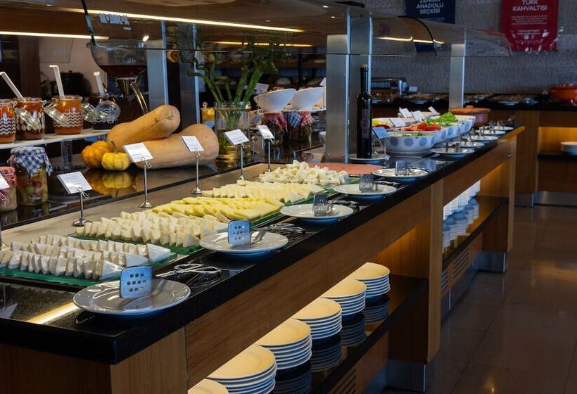 هتل Anemon Grand Samsun