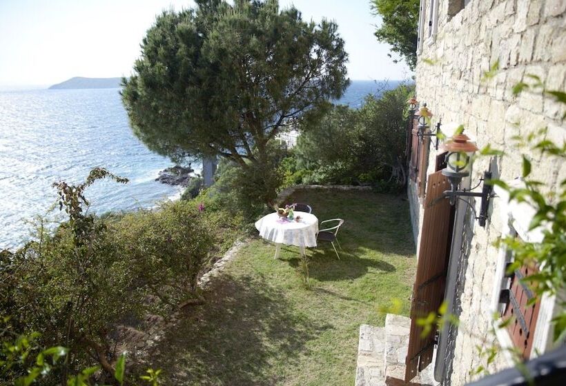 בית מלון כפרי Arion Resort