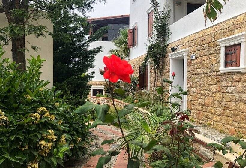 בית מלון כפרי Arion Resort