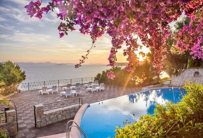 فندق Arion Resort