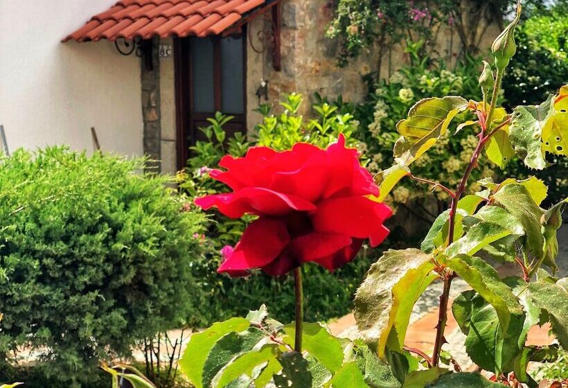 בית מלון כפרי Arion Resort