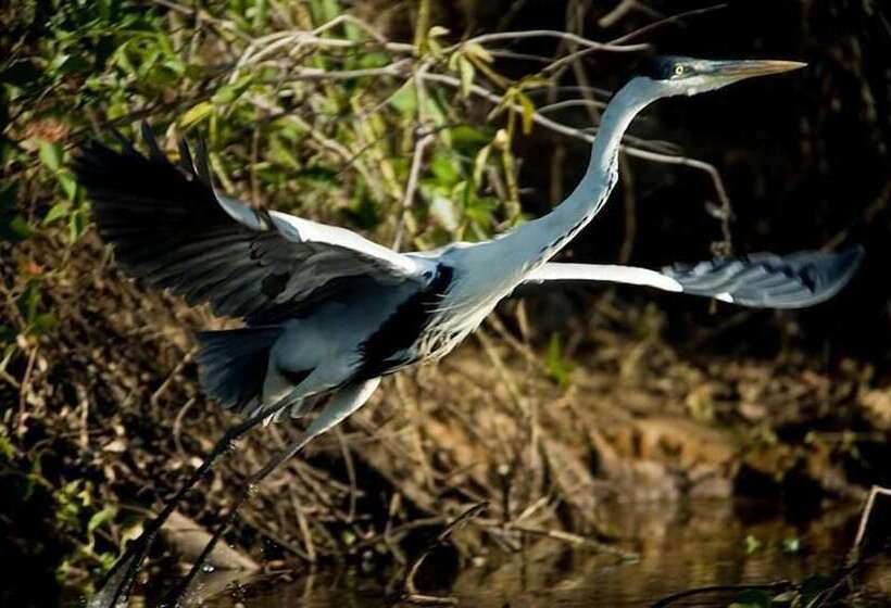 فندق Barra Mansa Lodge