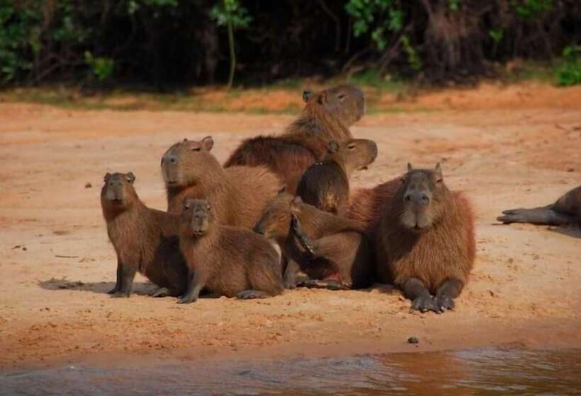 فندق Barra Mansa Lodge