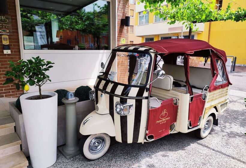 Отель Benaco Garda S