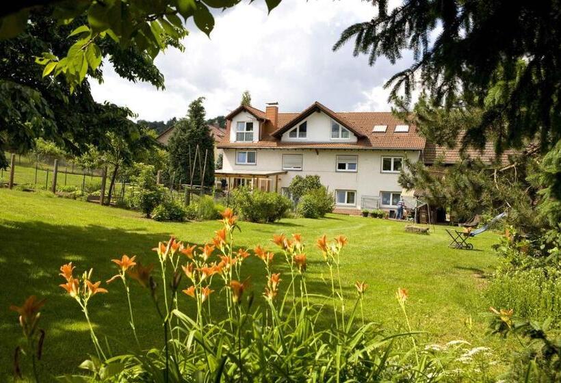 Birnbaumhof   Hotel Pension Und Ferienwohnungen