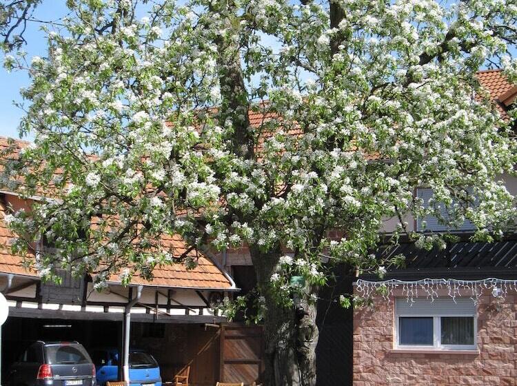 Birnbaumhof   Hotel Pension Und Ferienwohnungen