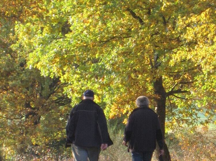 Birnbaumhof   Hotel Pension Und Ferienwohnungen