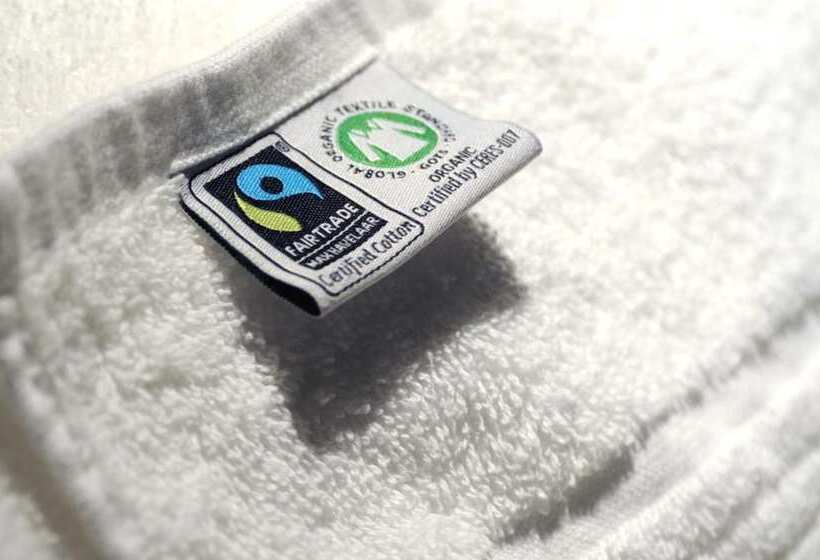 בית מלון כפרי Blue Mansion