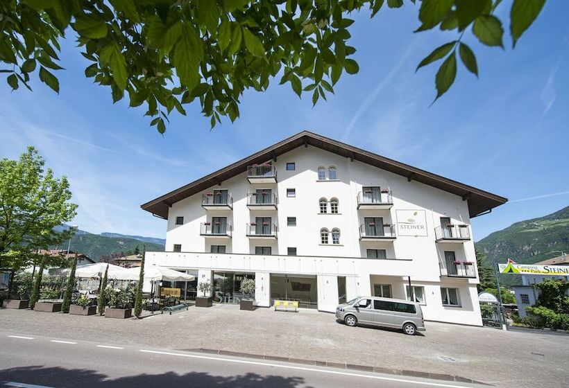 בית מלון כפרי Campingpark Steiner