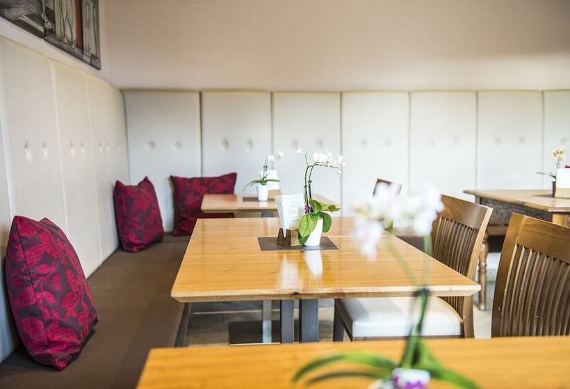 בית מלון כפרי Campingpark Steiner