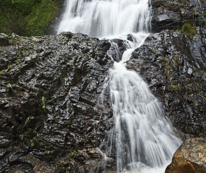 فندق Cascade Country Manor