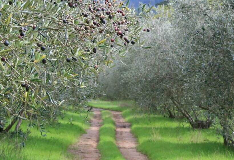 فندق Cascade Country Manor