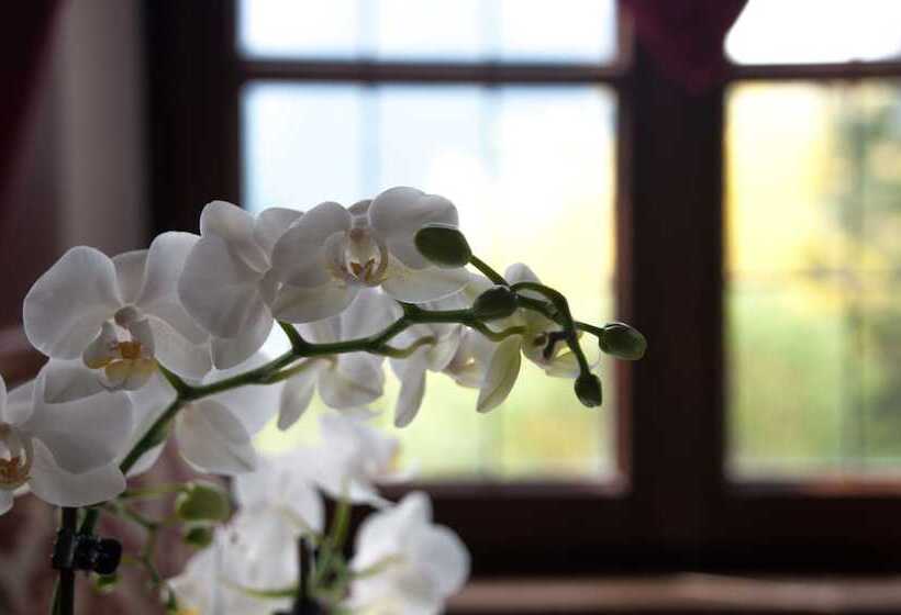 Отель Castel Rundegg