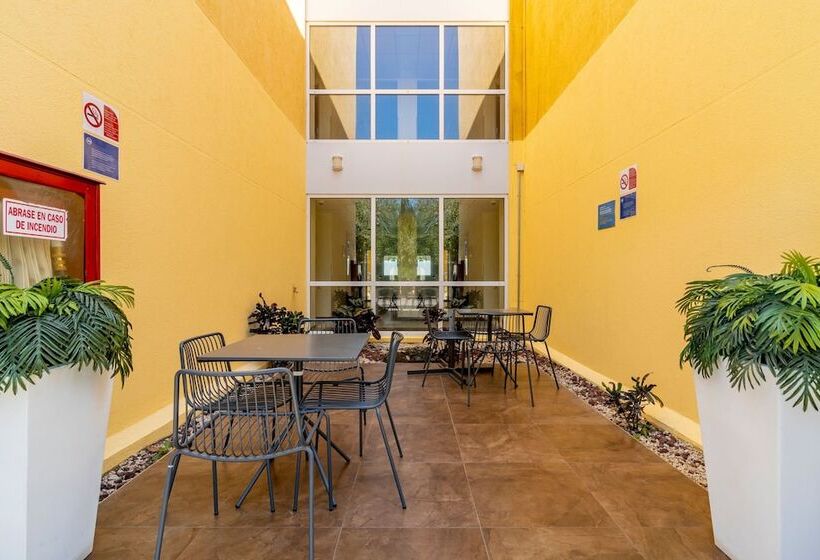 בית מלון כפרי City Express By Marriott Playa Del Carmen