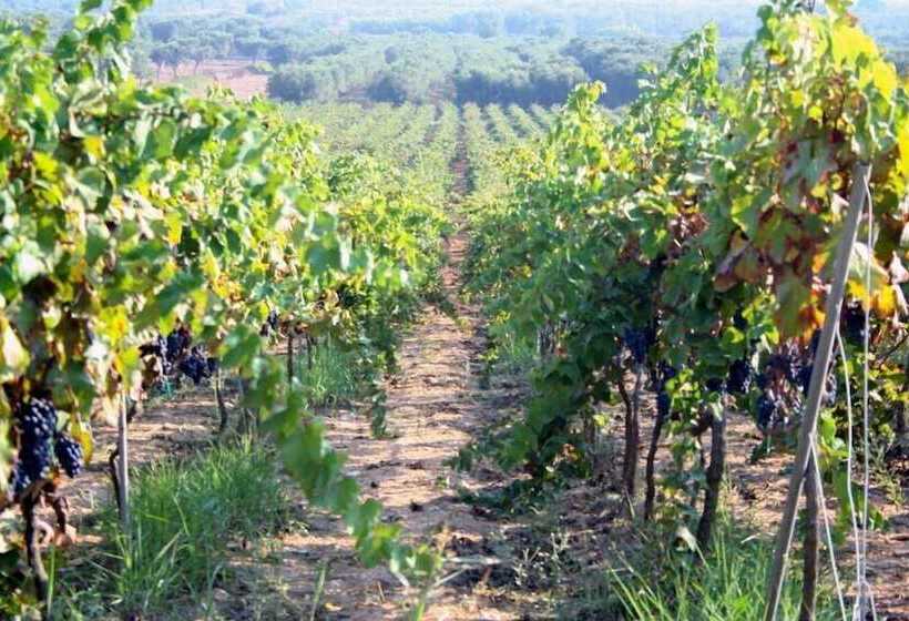 בית מלון כפרי Corte Dei Nonni