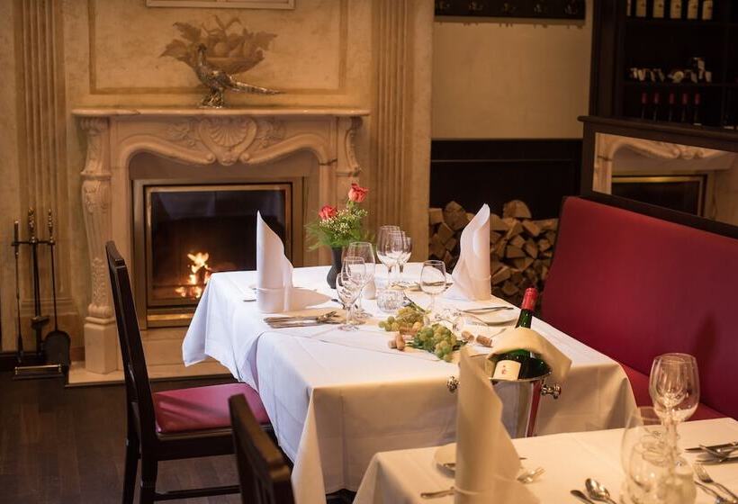 酒店 Goldener Lowe