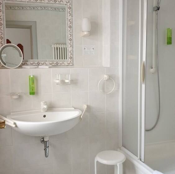 酒店 Goldener Lowe