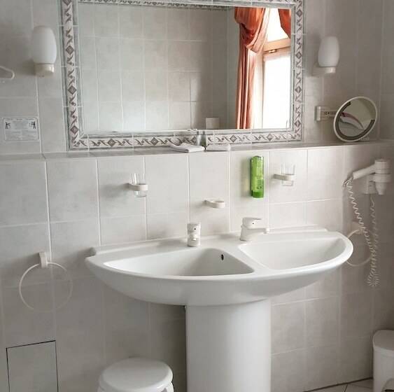 酒店 Goldener Lowe