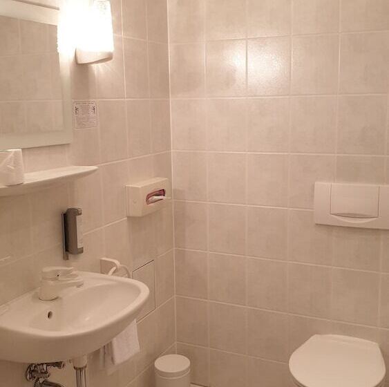 酒店 Goldener Lowe