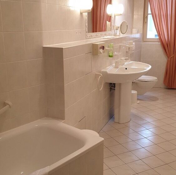 酒店 Goldener Lowe