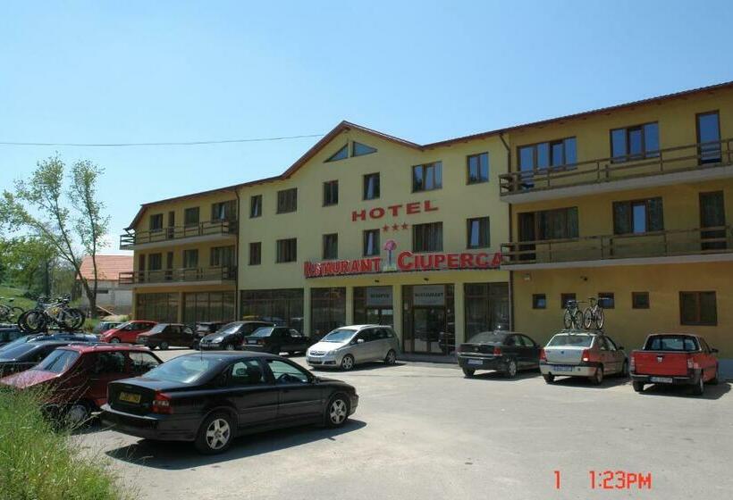 בית מלון כפרי Hostel Restaurant Ciuperca