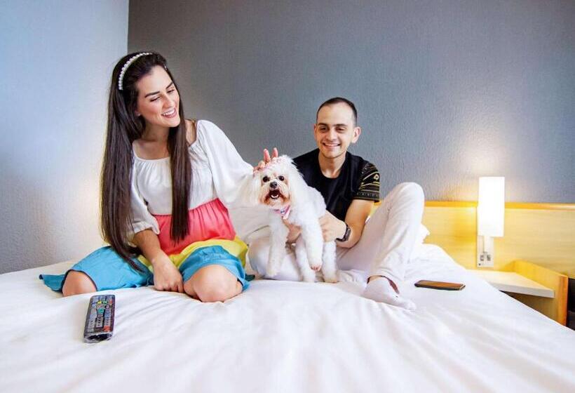 فندق Ibis Criciuma