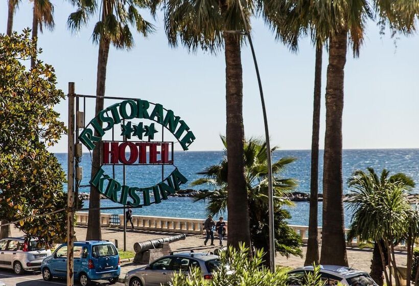 בית מלון כפרי Kristina