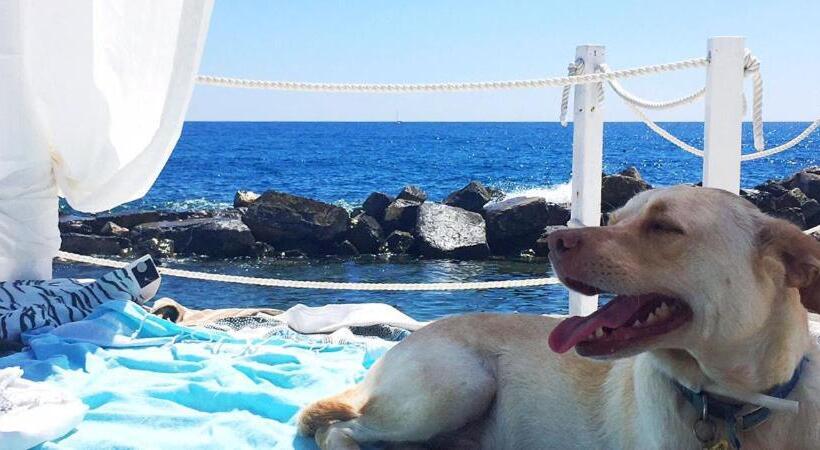 בית מלון כפרי Kristina